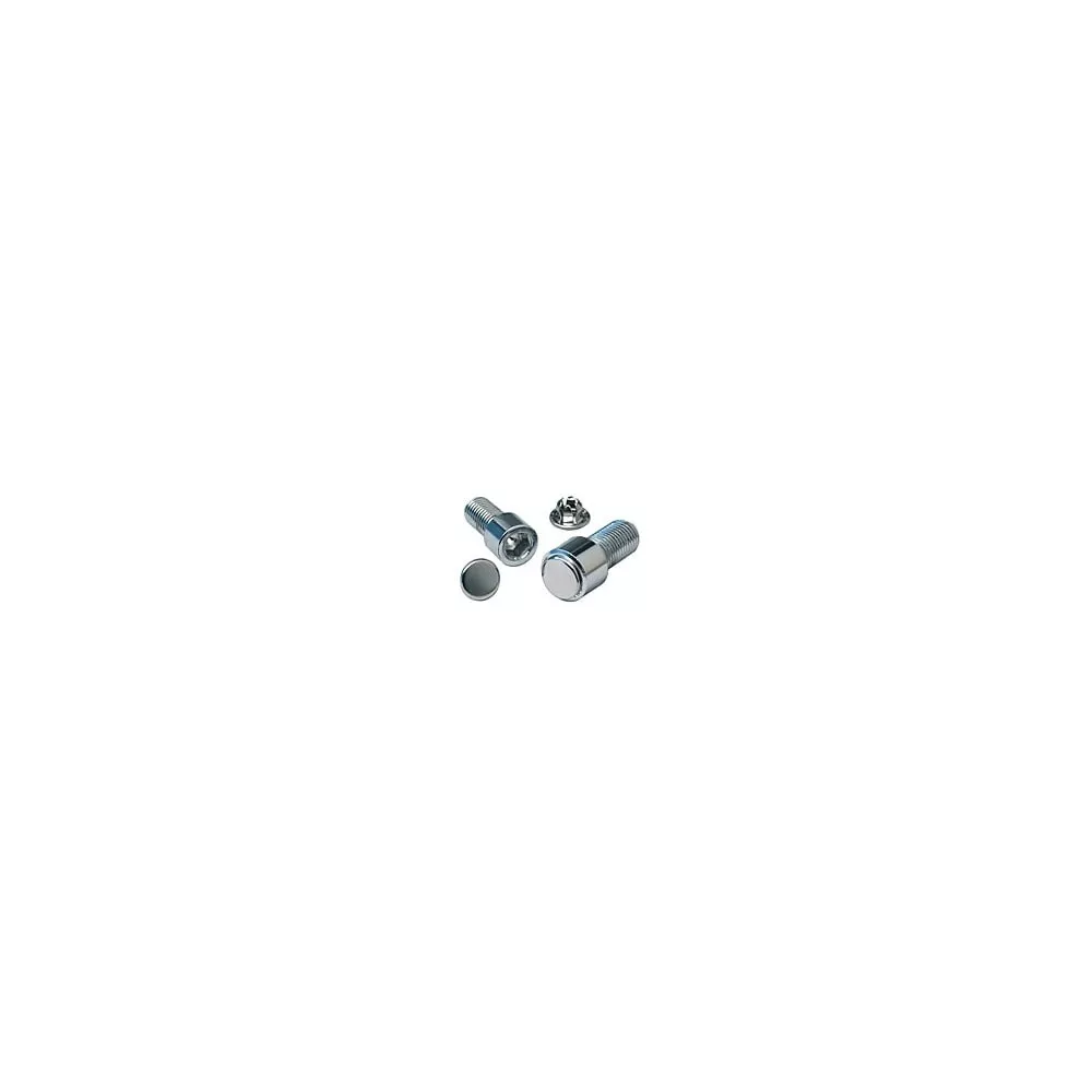 100 PC BAG CHROME HOLE PLUG FOR 5/16 SH