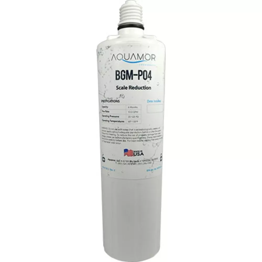BGM-P04 Scale Inhibitor