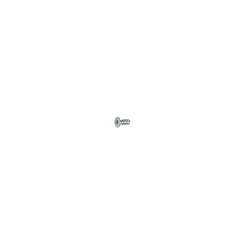 M12-1.75 x 35 FLAT SOCKET CAP SCREW DIN