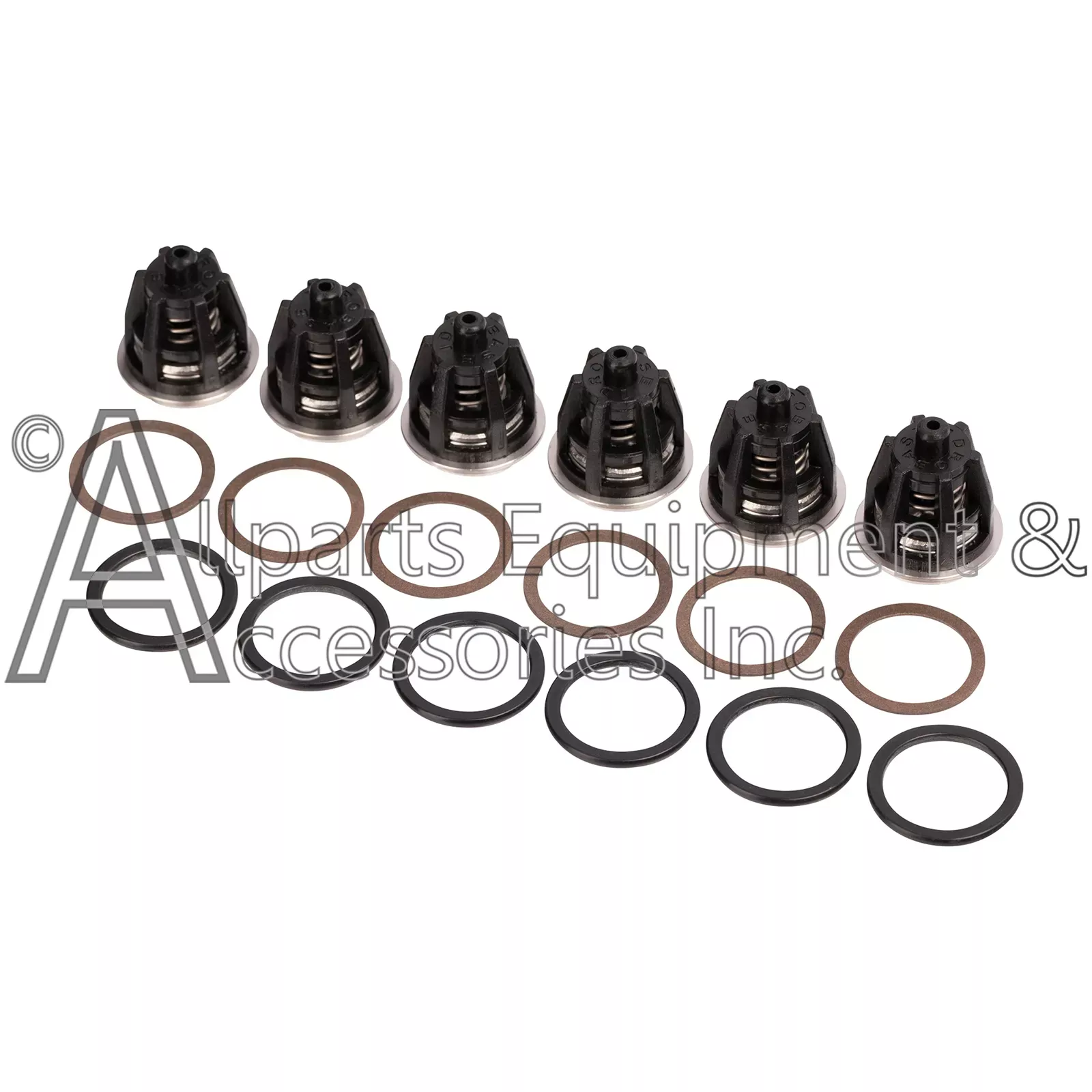 ZX.1628 KIT 201 Valves And O-ring Kit for Interpump Pumps